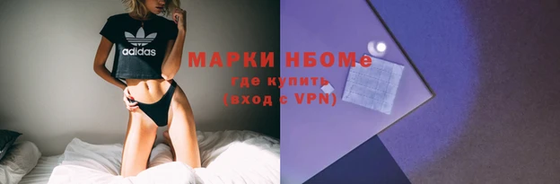винт Няндома
