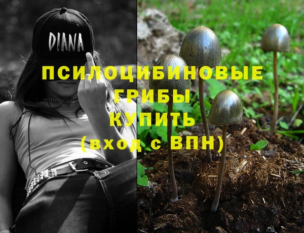 винт Няндома