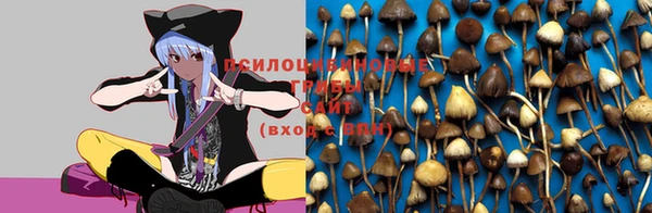 мефедрон мука Новокубанск