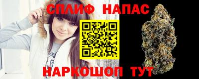 бошки Кинель