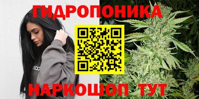 бошки Кинель