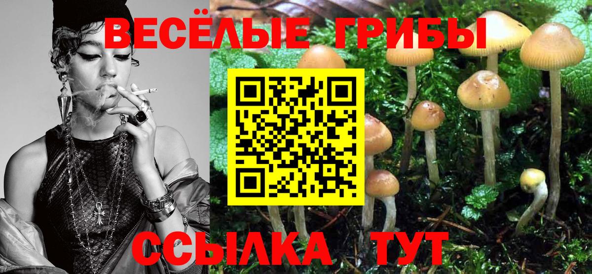 Псилоцибиновые грибы мухоморы Саров