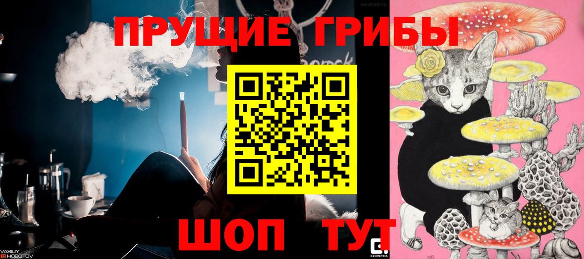 Саров  Галлюциногенные грибы мухоморы  Вход с VPN 