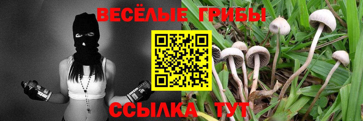 Псилоцибиновые грибы ЛСД Саров